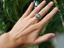 Load image into Gallery viewer, The Labradorite × Sterling Silver Ring